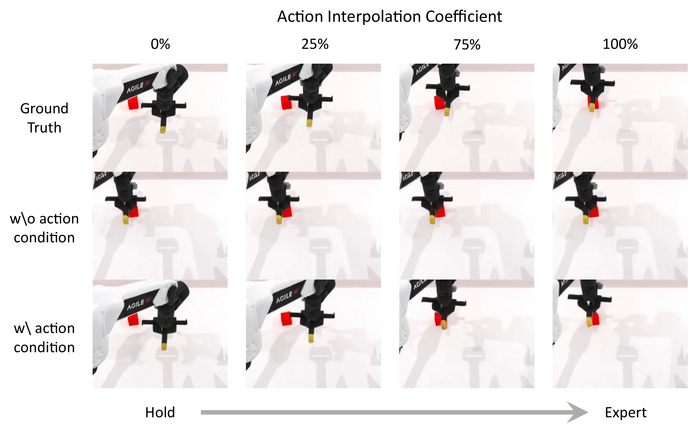 Action interpolation rollouts